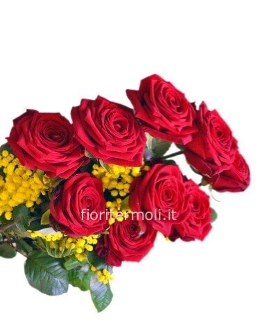Mazzo di 3 rose rosse a gambo lungo, con mimosa