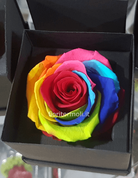 ROSA STABILIZZATA Rainbow CON VASO DI VETRO