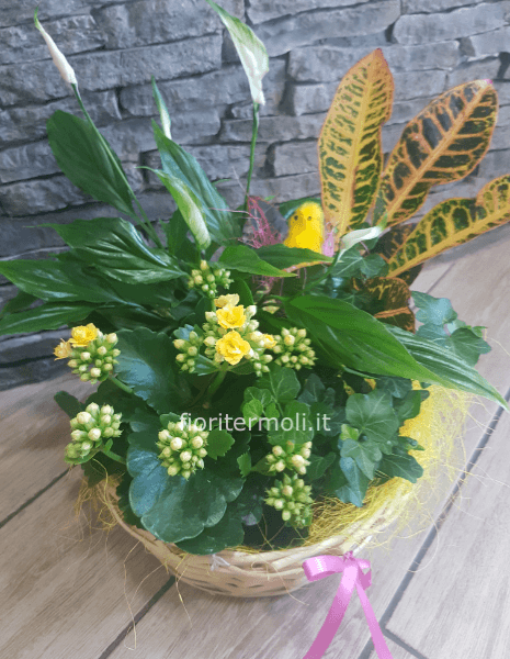 Composizione di piante